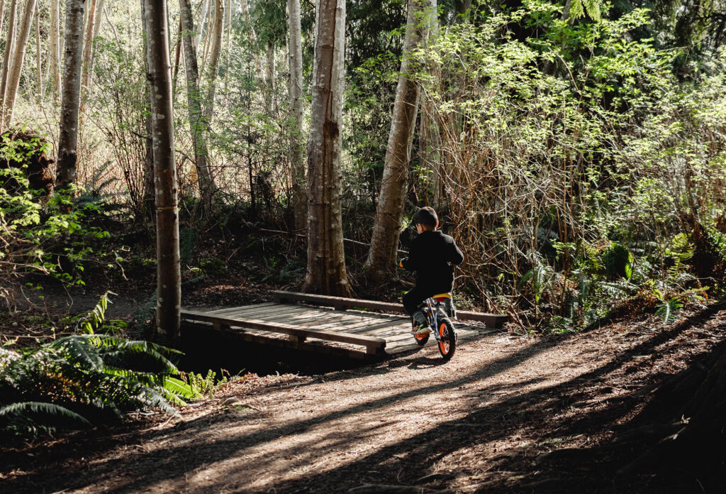 reforzar tus defensas